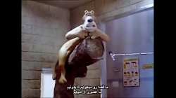 آسایش مخلوقات - Creature Comforts اسکار انیمیشن کوتاه 1989